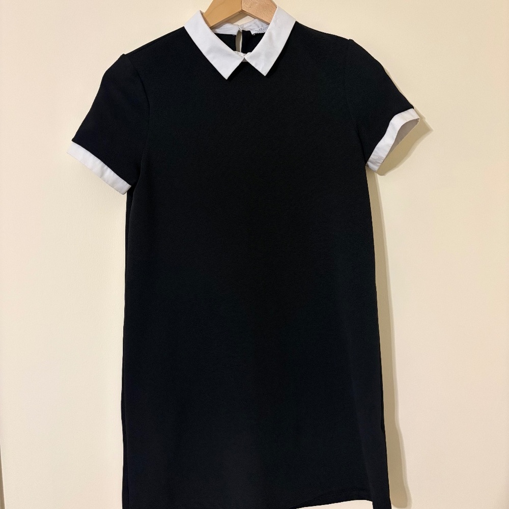 Zara Black and White Collar Mini Sleeved Dress